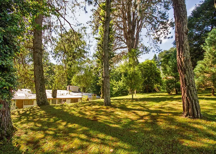 Villa Vintage Campos - Piscina e opções de suites com hidromassagem Campos do Jordão